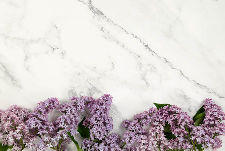 Top view of purple lilac flowers on white marble background. Spring wallpaper, flat lay, copy space.の写真素材