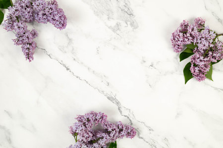 Top view of purple lilac flowers on white marble background. Spring wallpaper, flat lay, copy space.の写真素材