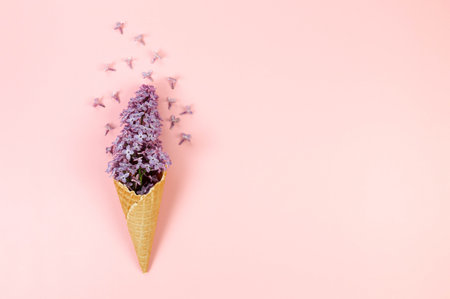 Top view of purple lilac flowers on pink background. Creative ice cream waffle cone. Spring and summer wallpaper, flat lay, copy space.の写真素材
