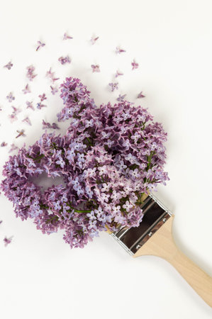 Top view of purple lilac flowers on white background. Creative paintbrush composition. Spring wallpaper, flat lay, copy space.の写真素材