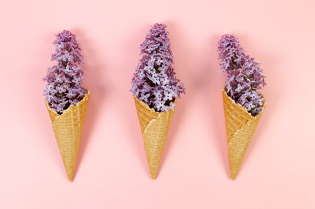 Top view of purple lilac flowers on pink background. Creative three ice cream waffle cones. Spring and summer wallpaper, flat lay, copy space.の写真素材