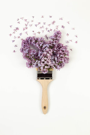 Top view of purple lilac flowers on white background. Creative paintbrush composition. Spring wallpaper, flat lay, copy space.の写真素材