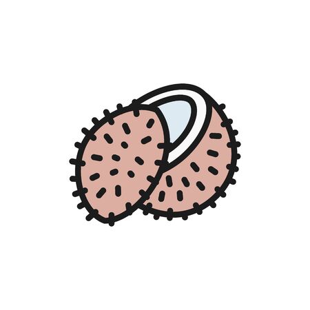Lychee fruit, coconut flat color icon. Isolated on white backgroundのイラスト素材