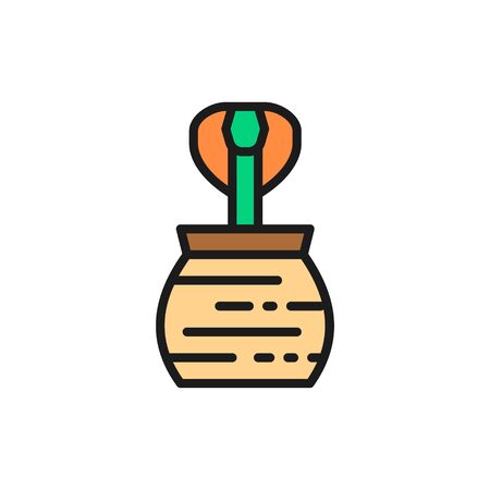 Cobra in jug, trained snake flat color line icon.のイラスト素材