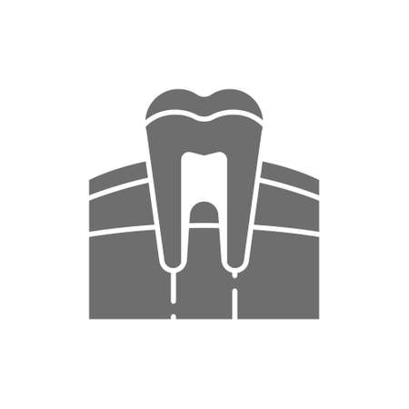 Tooth, gum, dentist, human organ grey icon.のイラスト素材