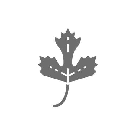 Parsley, herb, spice grey icon. Isolated on white backgroundのイラスト素材
