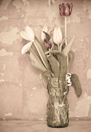 Tulips in vase over grunge backgroundの写真素材