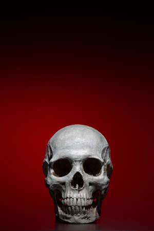 Ultra sharp realistic human skull over dark red gradient backgroundの写真素材