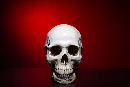 Human skull over dark red backgroundの写真素材