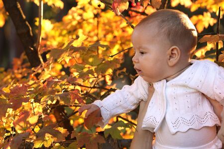 Todlerの写真素材