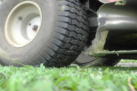 lawn mower on fresh cut grass in the garden                    の写真素材