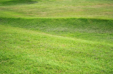 big lawn