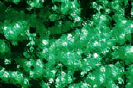 string of lights for christmasの写真素材