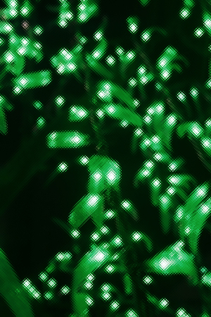 lights for christmas の写真素材