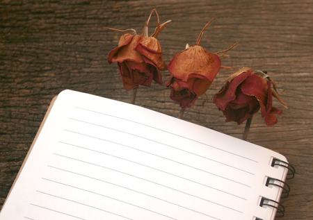 dried roses on the blank bookの写真素材