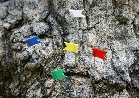 sign flag pin on wood