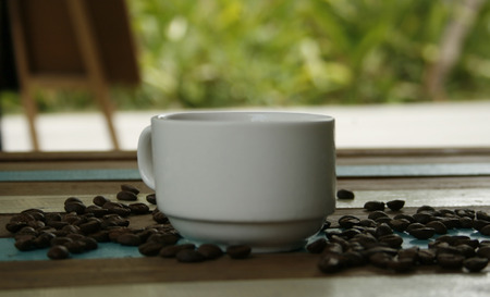 cup of coffee with blurred backgroundの写真素材