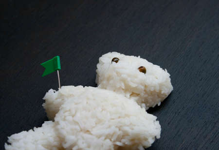 cooked rice of bear shapeの写真素材