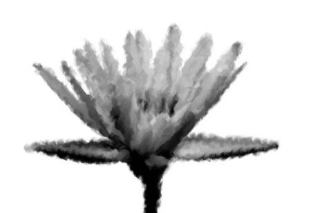 Oil painting lotus on whiteの写真素材