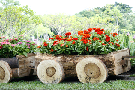 Flowers in pots in wooden box on background of gardenの写真素材