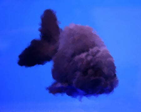 Oil painting Black Goldfish in blue screenの写真素材