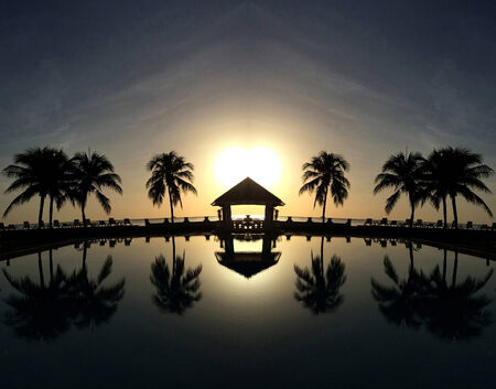 Coconut palms on sand beach in tropic on sunsetの写真素材