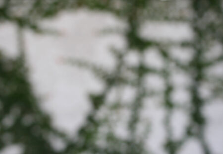 Blurred Lights Bright Green. Spring Bokeh. Abstract Summer Backgroundの写真素材