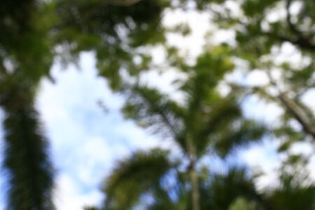 Natural green and blue blured background with bokehの写真素材