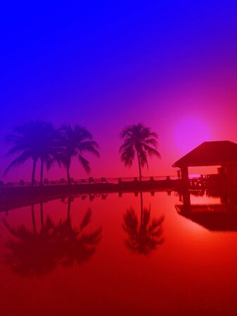 Coconut palms on sand beach in tropic on sunsetの写真素材