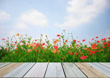 the wooden table over the flower backgroundの写真素材