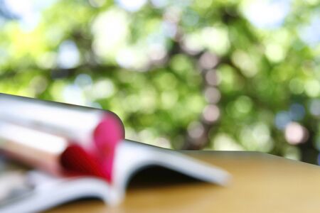 Heart from book pages and green leaf bokeh abstract light backgroundの写真素材