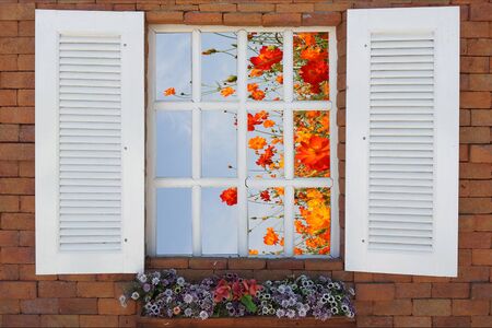 cosmos flower and old wood windowの写真素材