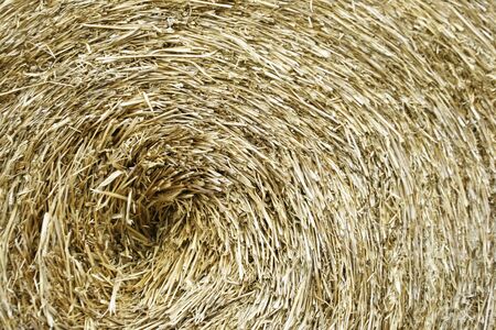 circle thatch texture and wallpaper
