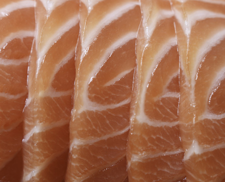 Salmon sashimi - japanese food styleの写真素材