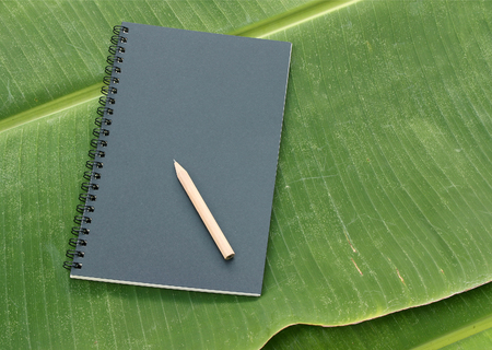 notebook and pencil on banana leafの写真素材