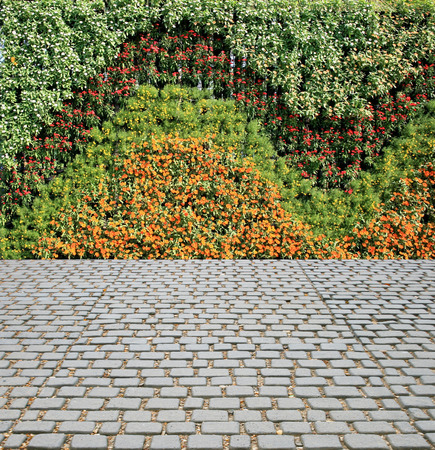 flower wall vertical garden and stone floorの写真素材