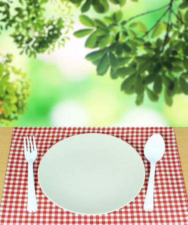 spoon with fork and dish on checkered tablecloth and blur leaves backgroundの写真素材