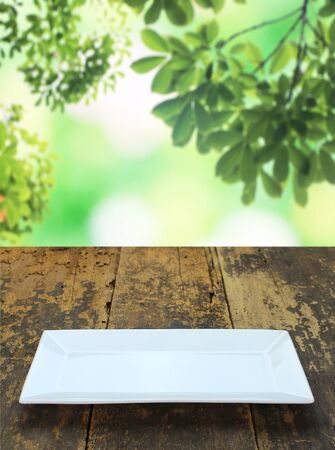 dish on old wood table and blur leaves backgroundの写真素材