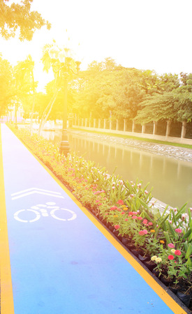 bicycle lane in the parkの写真素材