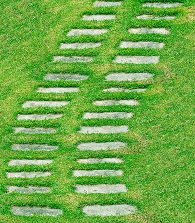 green grass and stone walkway in the parkの写真素材