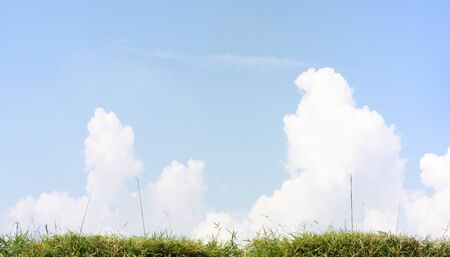 blue sky with cloud and bamboo leavesの写真素材