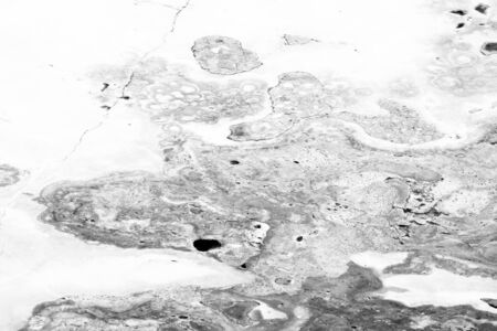 black and white marble backgroundの写真素材