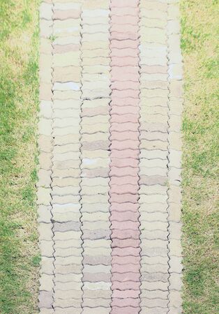 stone walkway on green grass in gardenの写真素材