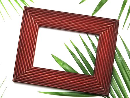 tropical nature green palm leaf in picture frame on white backgroundの写真素材