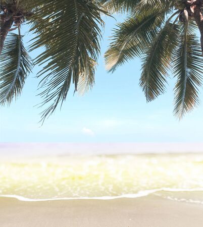 green coconut palm trees on beautiful sand beachの写真素材