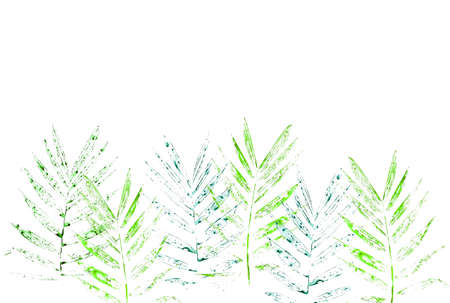 Palm leaves made by watercolor By coloring the water on the palm leaves Then put on the paperの写真素材