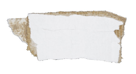 Torn pieces of corrugated paper isolated on white backgroundの写真素材