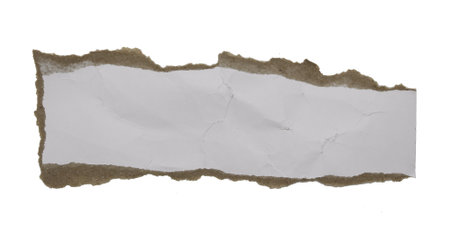 a sheet of paper torn to pieces isolated on white backgroundの写真素材