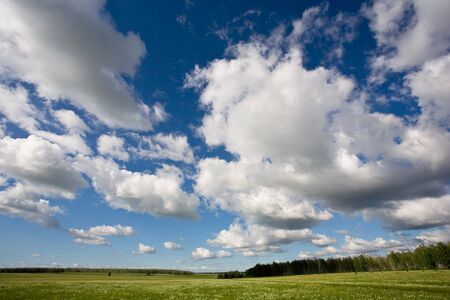 Landscape of countryside with trees and bright blue cloudy skyの写真素材