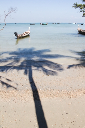 shadow of coconut tree and Longtail boatの写真素材